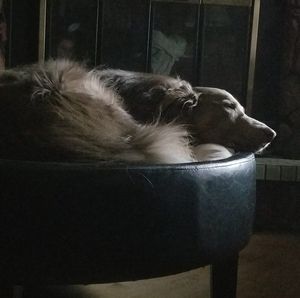 Meet your Posher, Deb